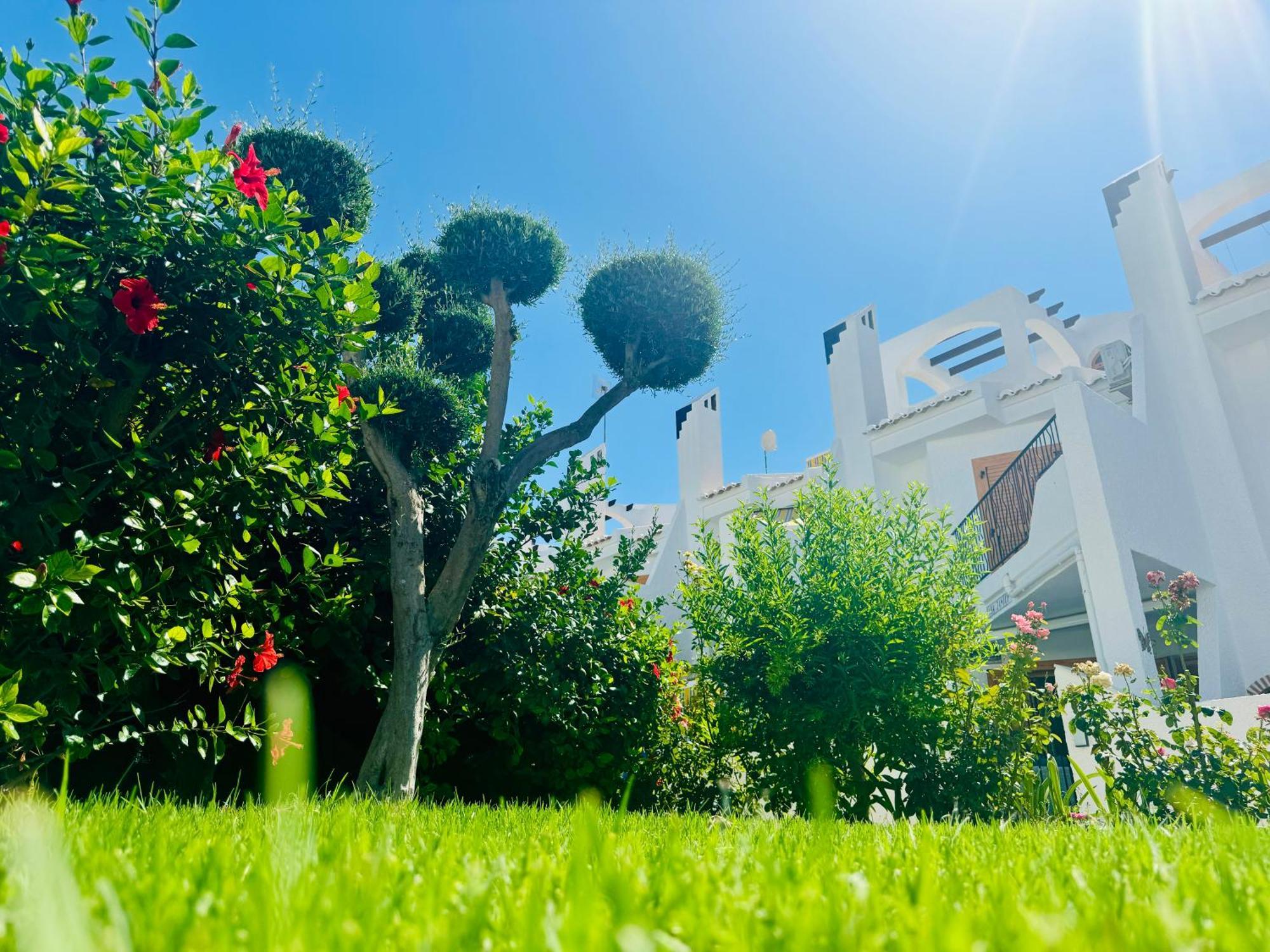 Contemporary House In Cabo Roig Orihuela Exterior foto